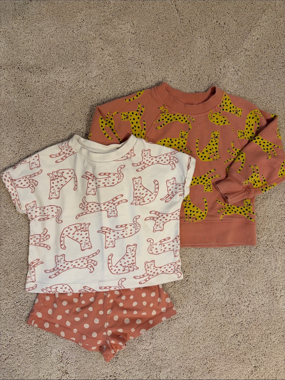 Hanna Andersson Leopard Tee, Short and Seeatshirt Set.  Size 2T & 3T.